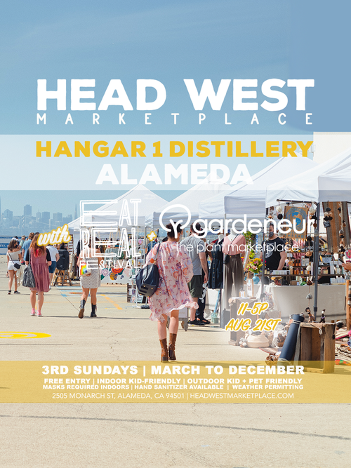 Headwest @ Hanger 1 Distillery, Alameda 12/18