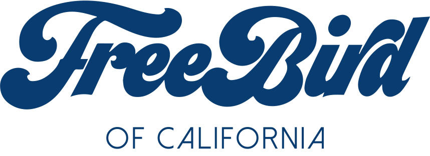 Delia Chain Bag – FreeBird of California